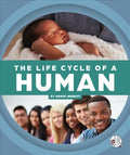 The Life Cycle of a Human - MPHOnline.com