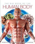 The Big Book of the Human Body - MPHOnline.com