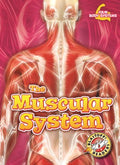 The Muscular System - MPHOnline.com