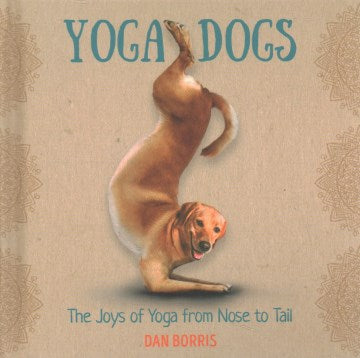 Yoga Dogs - MPHOnline.com