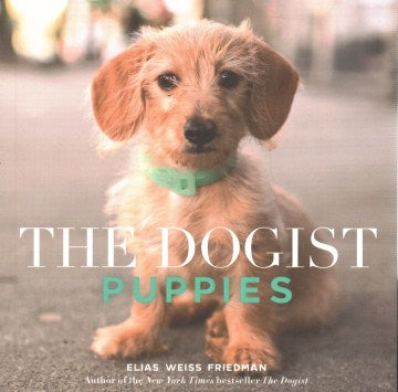 Dogist Puppies (Paperback) - MPHOnline.com