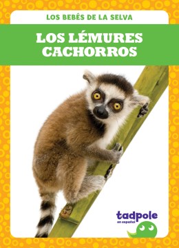 Los l?mures cachorros/ Lemur Pups - MPHOnline.com