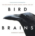 Bird Brains - MPHOnline.com