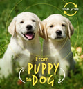 From Puppy to Dog - MPHOnline.com