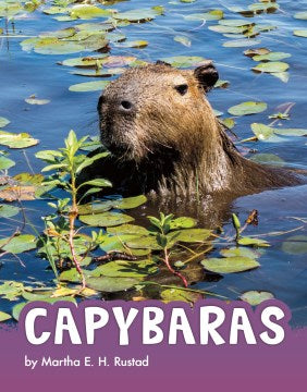 Capybaras - MPHOnline.com