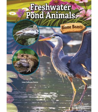 Freshwater Pond Animals - MPHOnline.com