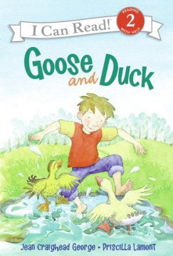 Goose And Duck - MPHOnline.com