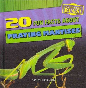 20 Fun Facts About Praying Mantises - MPHOnline.com