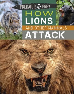 How Lions and Other Mammals Attack - MPHOnline.com