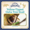 Yellow-tipped Oahu Tree Snail - MPHOnline.com