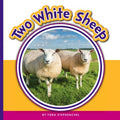 Two White Sheep - MPHOnline.com