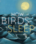 How Birds Sleep - MPHOnline.com