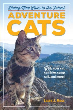 Adventure Cats - MPHOnline.com