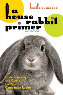 A House Rabbit Primer - MPHOnline.com