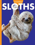 Curious About Sloths - MPHOnline.com