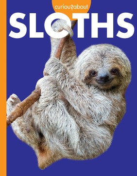 Curious About Sloths - MPHOnline.com