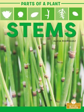 Stems - MPHOnline.com