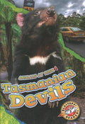 Tasmanian Devils - MPHOnline.com