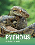 Pythons - MPHOnline.com