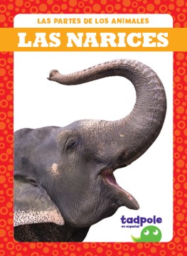 Las narices/ Noses - MPHOnline.com