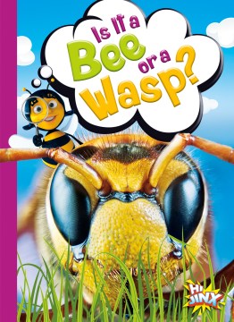 Is It a Bee or a Wasp? - MPHOnline.com