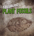 Plant Fossils - MPHOnline.com