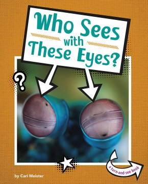 Who Sees With These Eyes? - MPHOnline.com