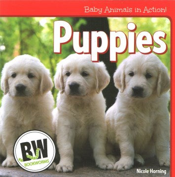 Puppies - MPHOnline.com