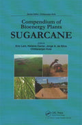 Sugarcane - MPHOnline.com