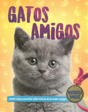 Gatos Amigos - MPHOnline.com