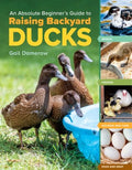 An Absolute Beginner's Guide to Raising Backyard Ducks - MPHOnline.com