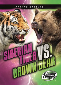 Siberian Tiger Vs. Brown Bear - MPHOnline.com