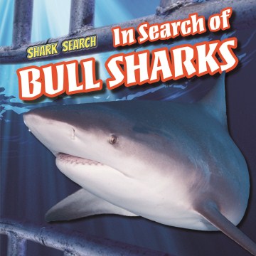 In Search of Bull Sharks - MPHOnline.com