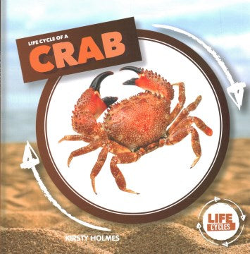 Life Cycle of a Crab - MPHOnline.com