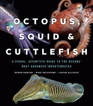 Octopus, Squid & Cuttlefish - MPHOnline.com