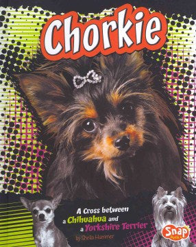 Chorkie - MPHOnline.com