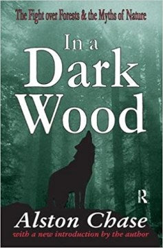 In a Dark Wood - MPHOnline.com