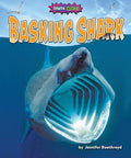 Basking Shark - MPHOnline.com