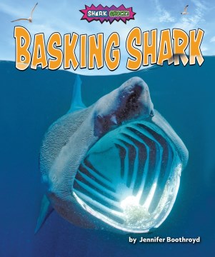 Basking Shark - MPHOnline.com