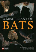 A Miscellany of Bats - MPHOnline.com