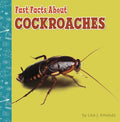 Fast Facts About Cockroaches - MPHOnline.com