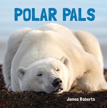 Polar Pals - MPHOnline.com