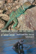 Amphibians, Reptiles, And Their Habitats at Sabino Canyon - MPHOnline.com