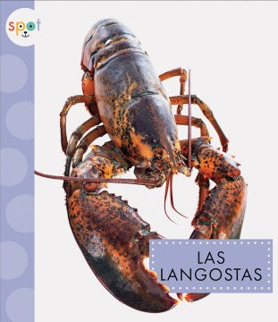 Las langostas/ Lobsters - MPHOnline.com