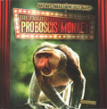 The Frightful Proboscis Monkey - MPHOnline.com