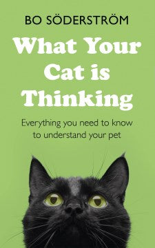 What Your Cat Is Thinking - MPHOnline.com