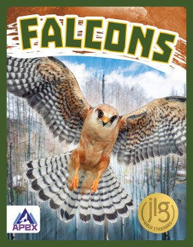 Falcons - MPHOnline.com