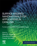 Surface Modified Nanomaterials for Applications in Catalysis - MPHOnline.com