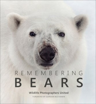 Remembering Bears - MPHOnline.com