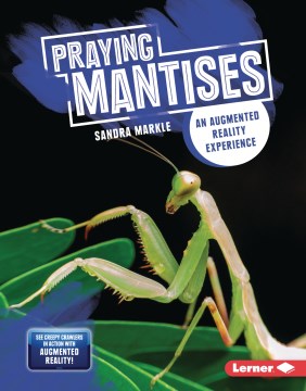 Praying Mantises - MPHOnline.com